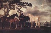 George Stubbs Mares and Foais in a Landscape (nn03) oil painting